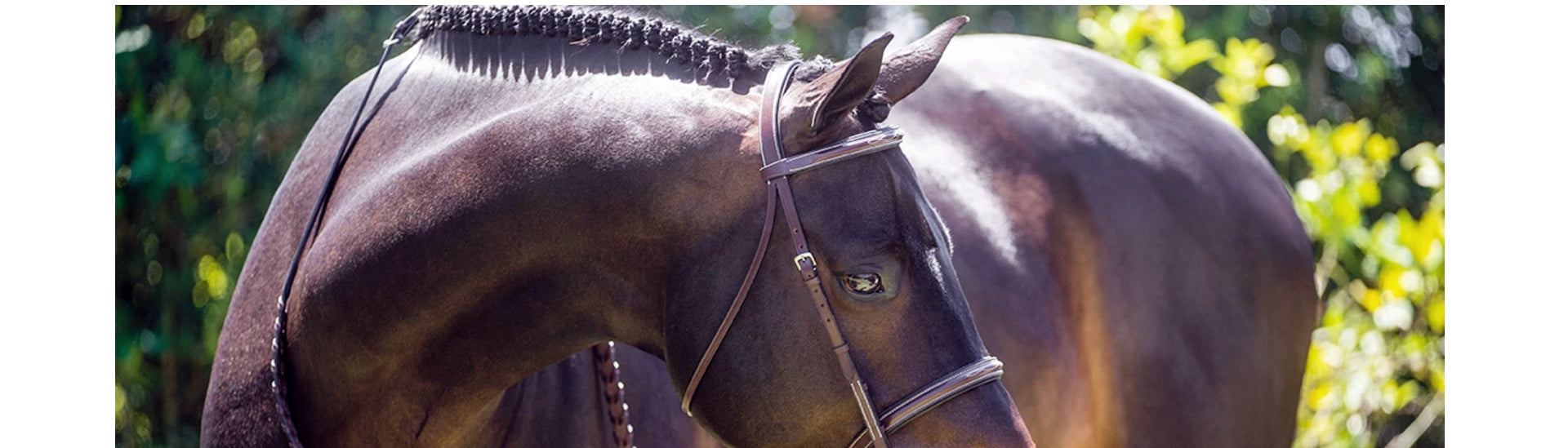 Bridles, Reins & Bridle Parts