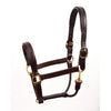 Perri's Fancy Stitched Padded Leather  Halter