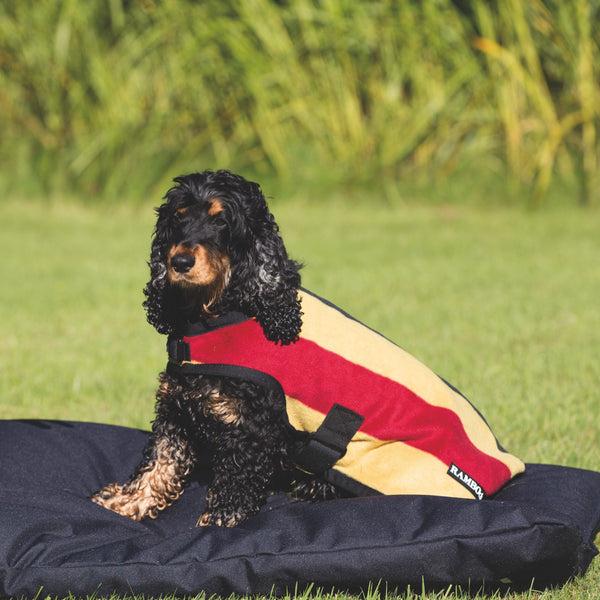 Rambo Deluxe Dog Blanket Horse Connection The Horse Connection In