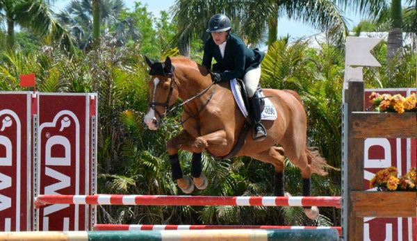 A New Horse Means New Horse Stuff...