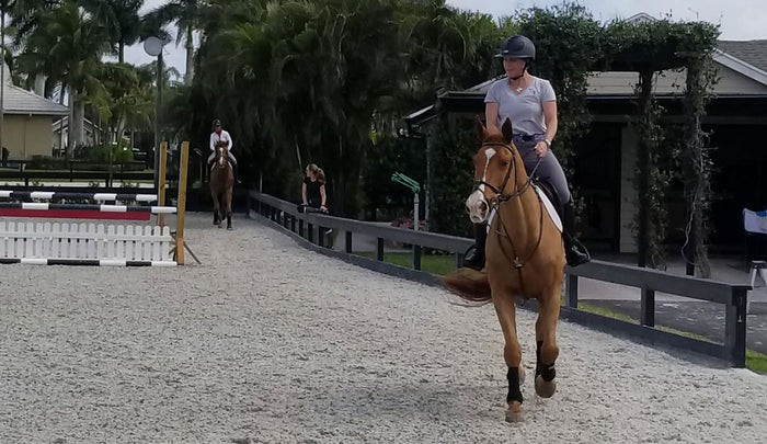 I Can't Believe I'm Actually In Wellington!