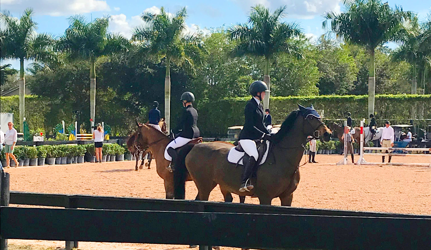 Having Horses In My Life