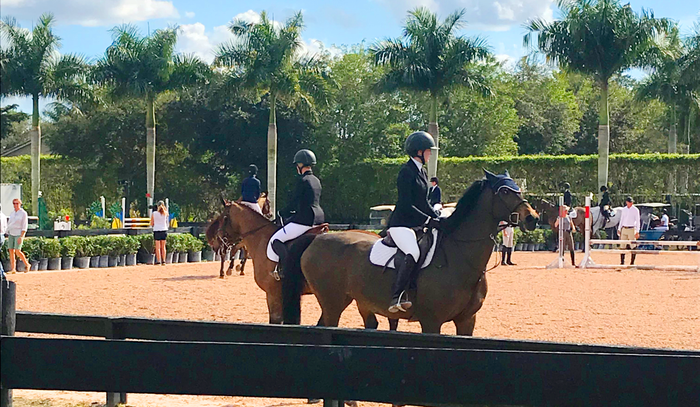 Having Horses In My Life