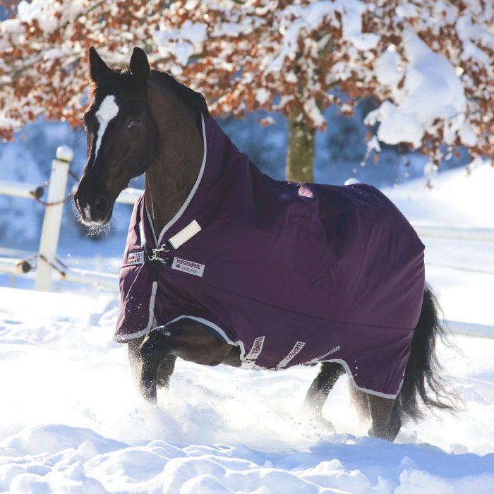 A Rare Event: Rambo Sale!