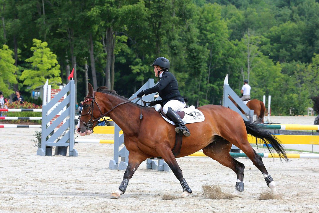 Blogging And Finding Myself Horseless