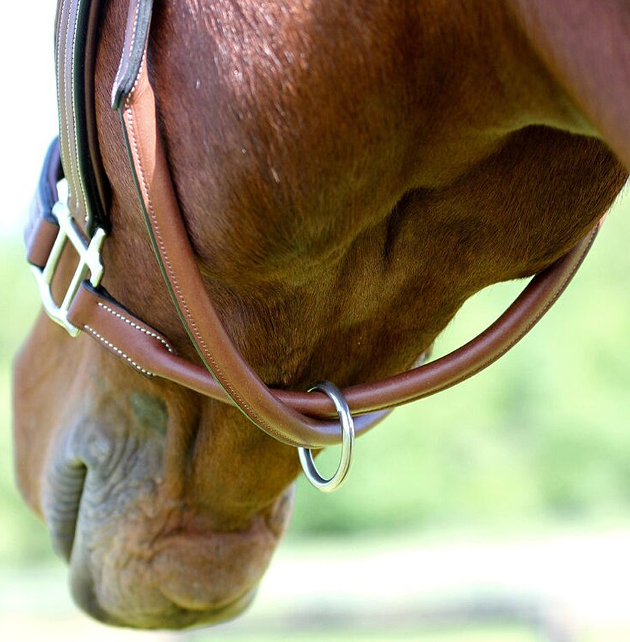 Arc de Triomphe Premium Halter