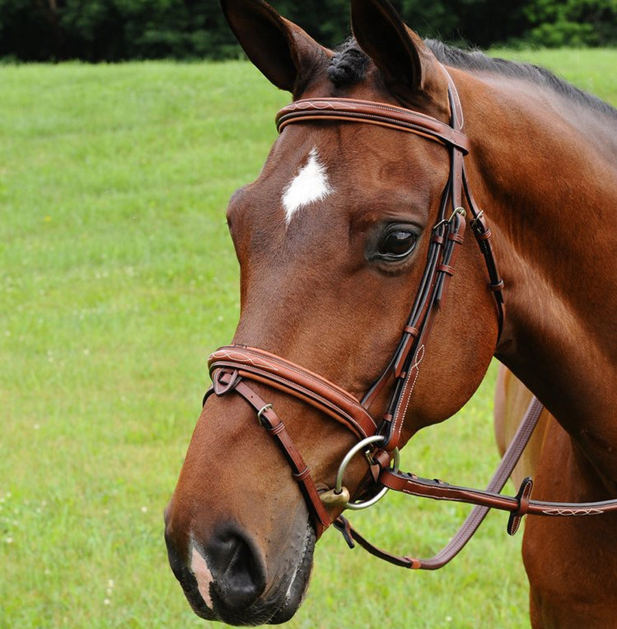 ADT Starman Bridle with Removable Flash
