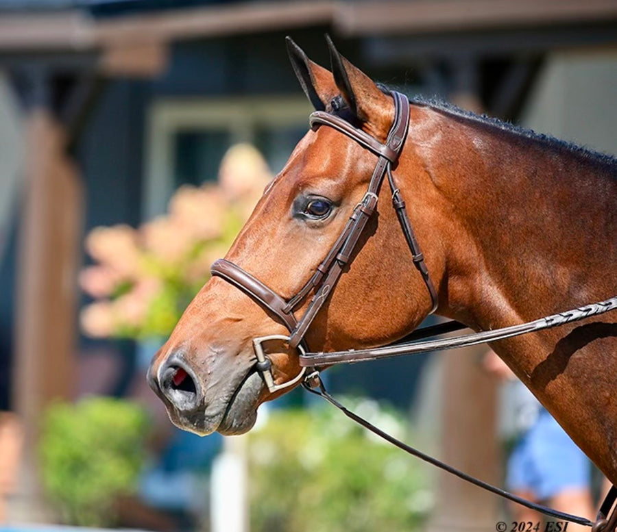 ADT Stealth Hunter Bridle