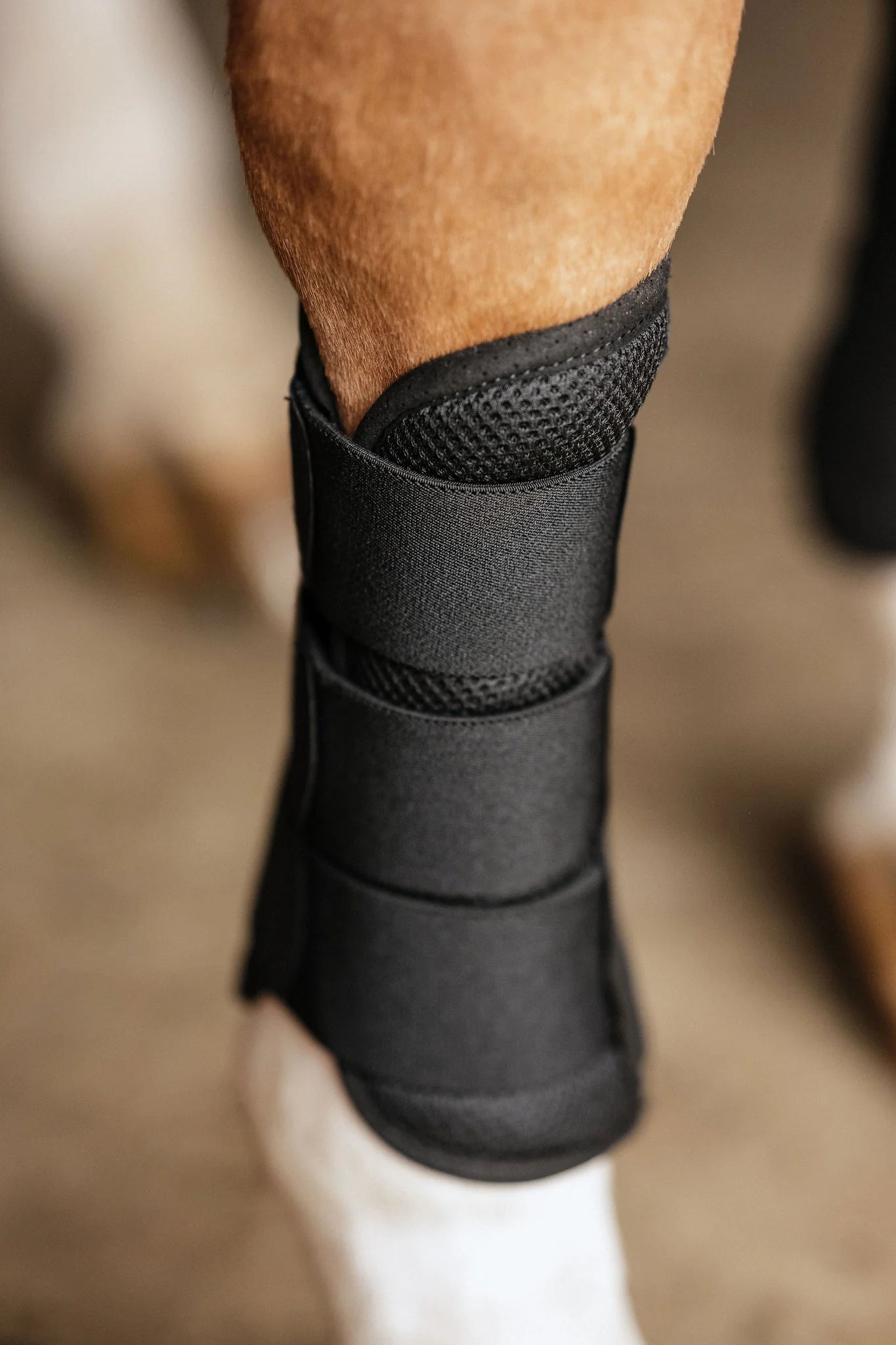 Anatomeq AirGuard Brushing Boots