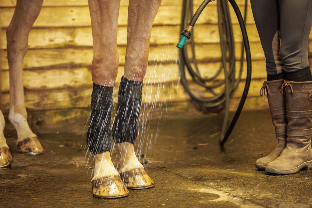 Anatomeq SoftSupport Polos