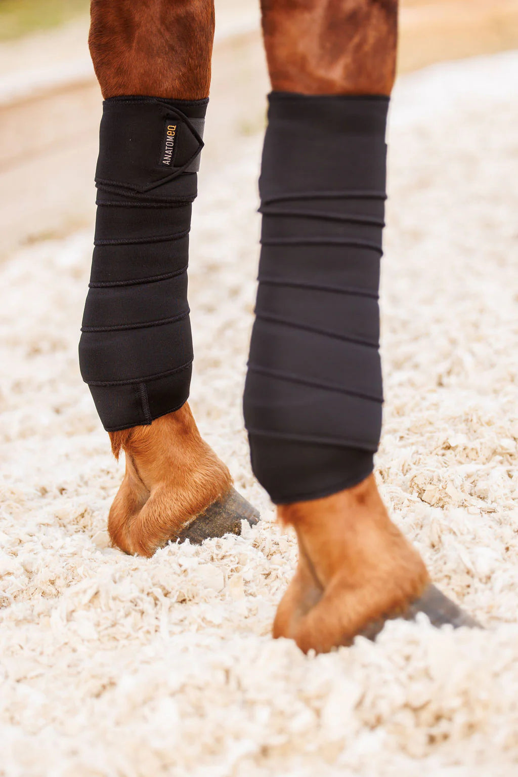 Anatomeq SoftSupport Polos