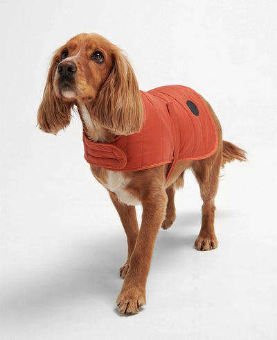 Barbour Baffle Dog Coat