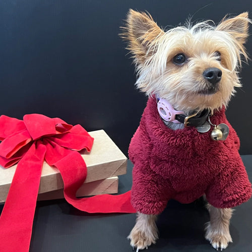 dog fleece sweater Barbour Teddy Fleece Dog Jumper | The Horse Connection