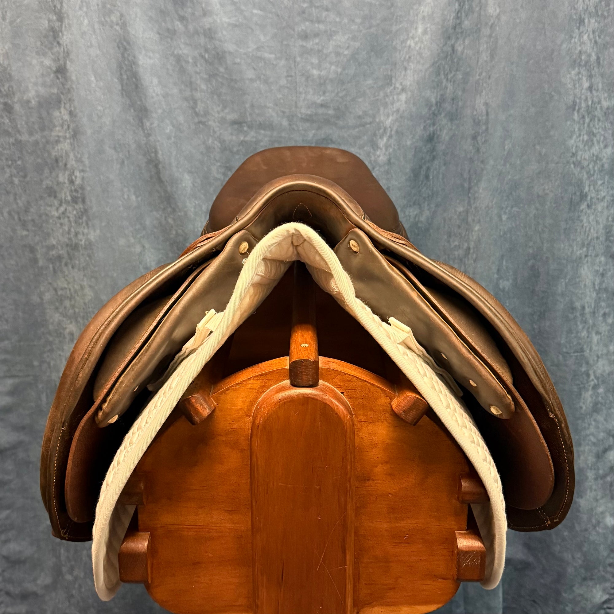 16.5" Antares Evolution Close Contact Saddle (#834)