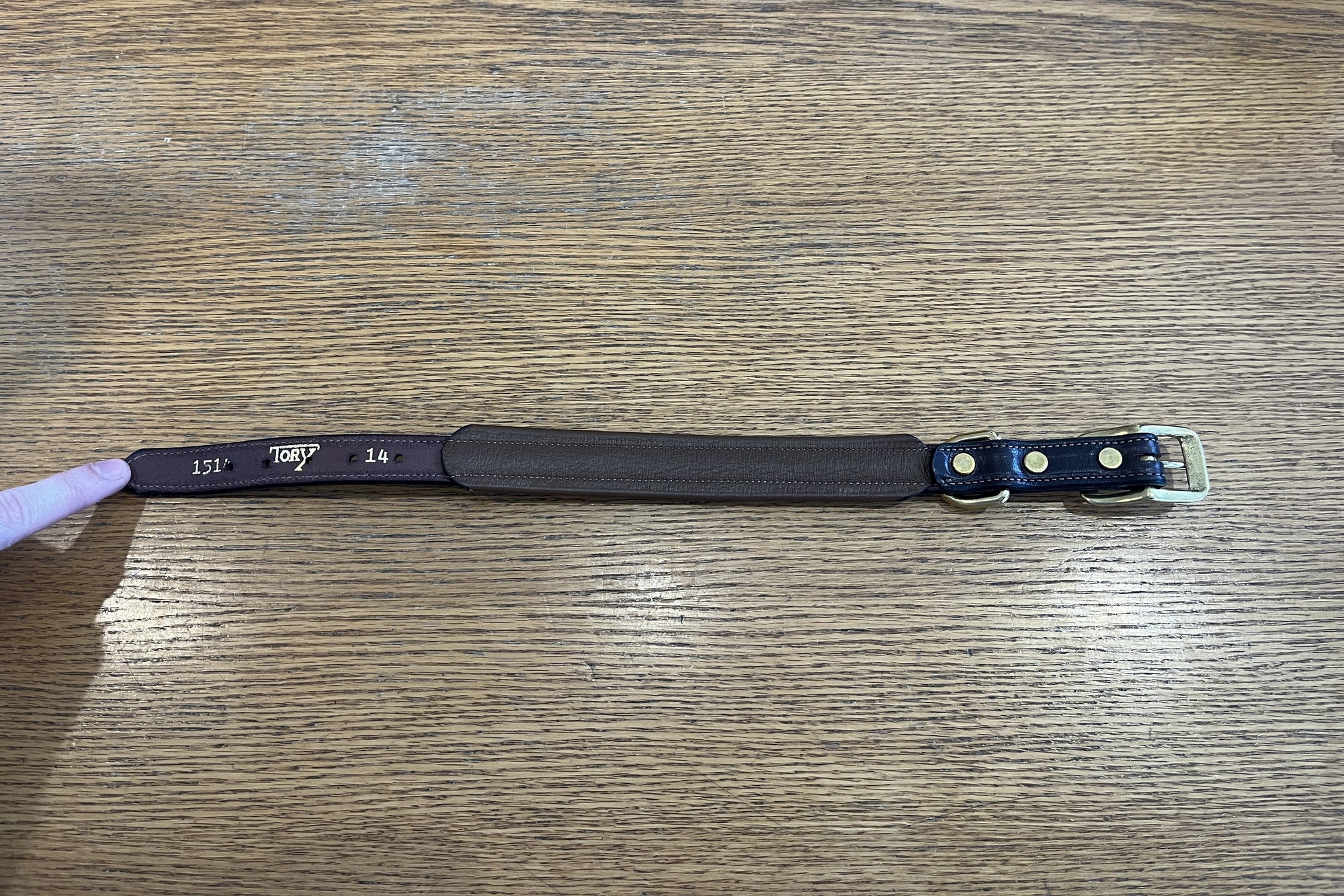 Tory Padded Dog Collar