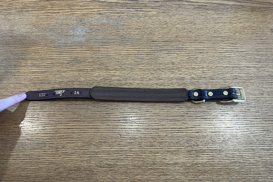 Tory Padded Dog Collar