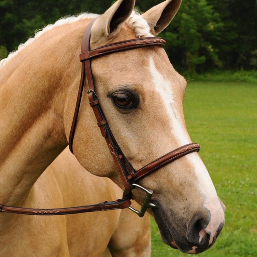 Arc de Triomphe Imperial Bridle