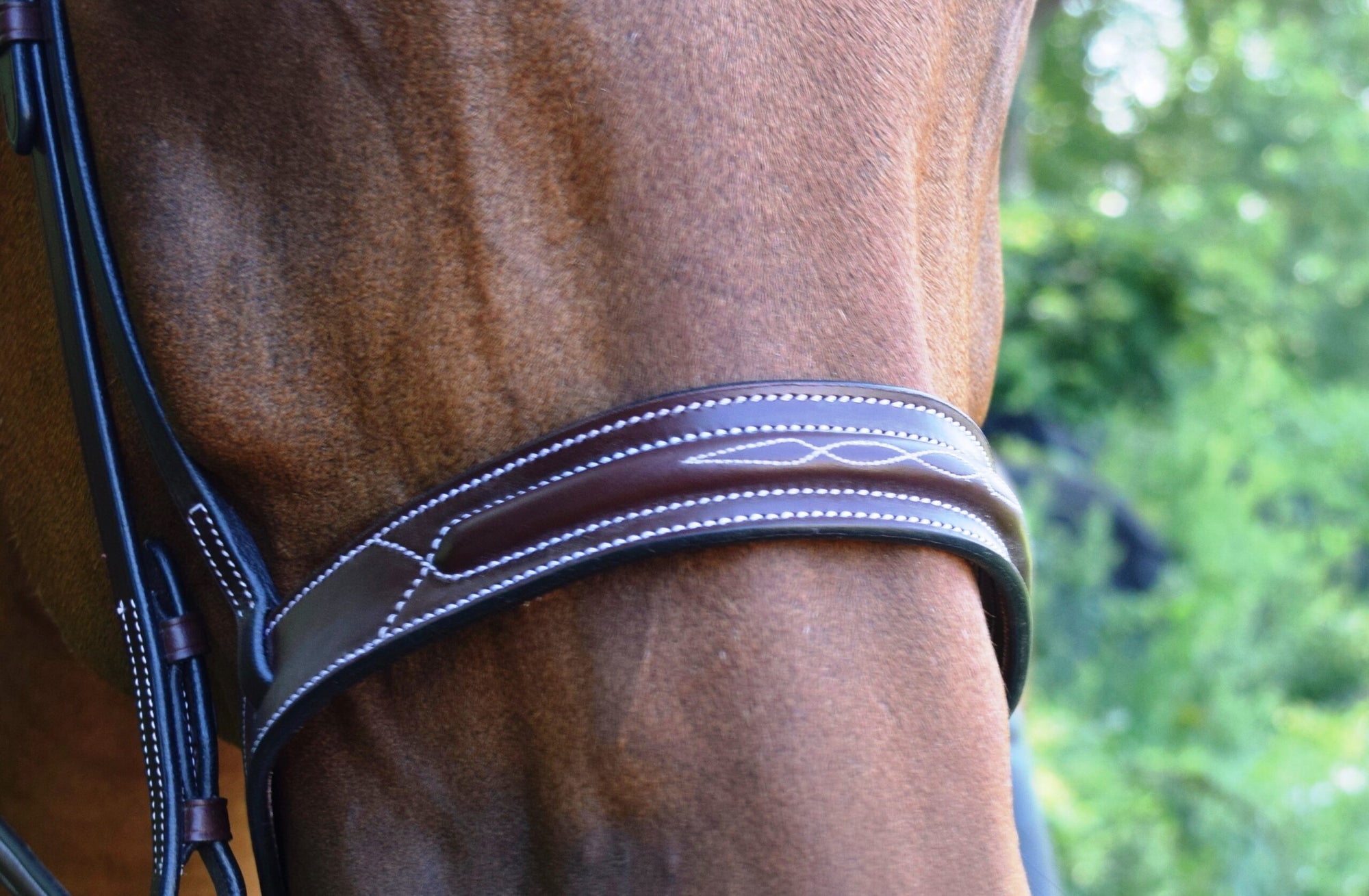 Details of Red Barn Sonoma Noseband