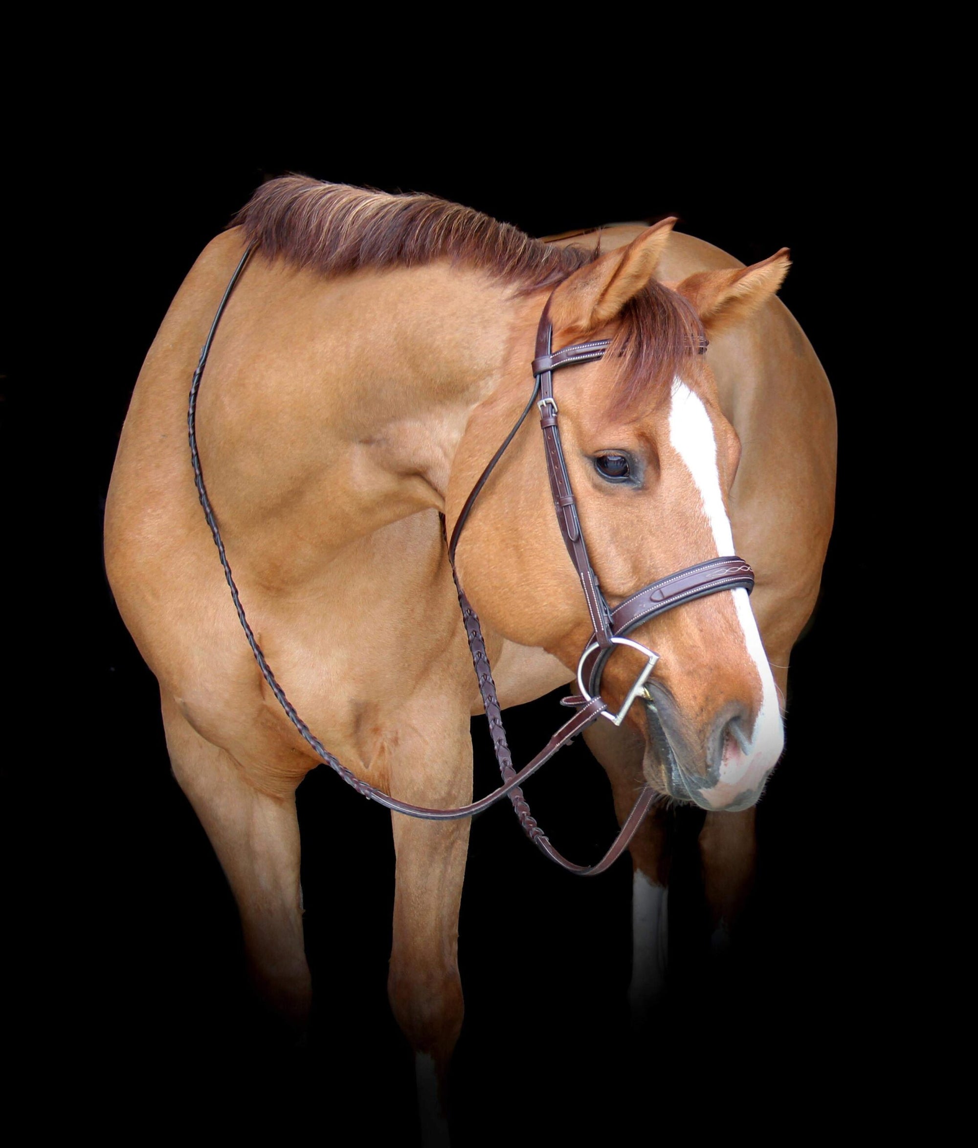 Red Barn Tryon Bridle by KL Select