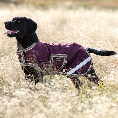Amigo Waterproof Dog Blanket