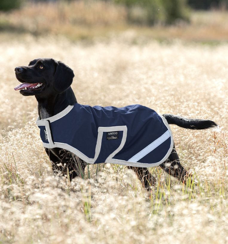 Amigo Waterproof Dog Blanket