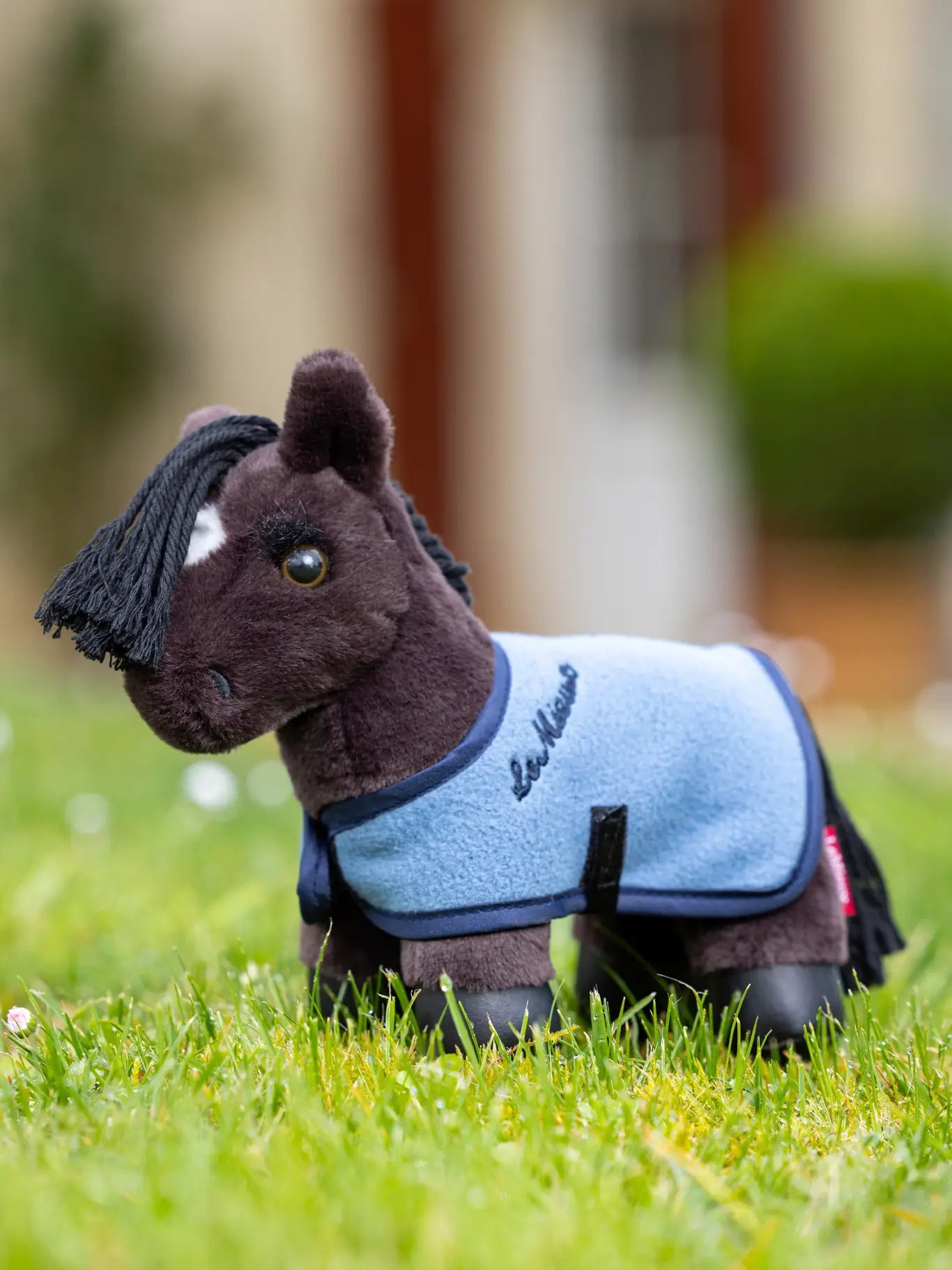 Le Mieux Tiny Pony