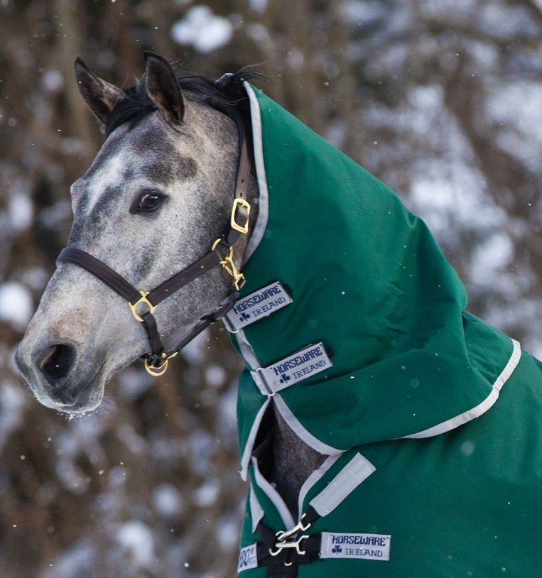 Rambo Turnout Hood 0g