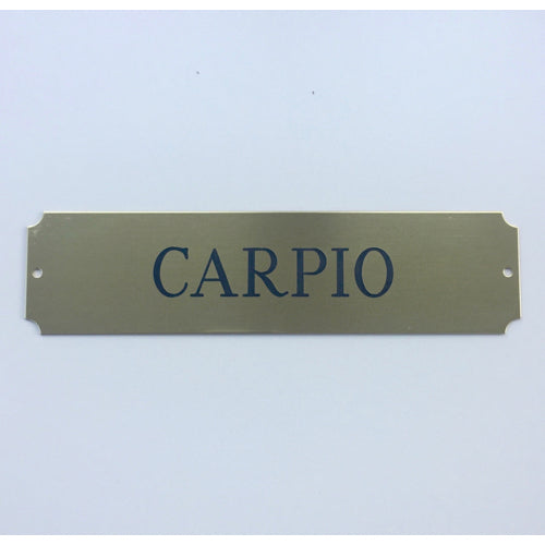 Classic Trunk Brass Nameplate