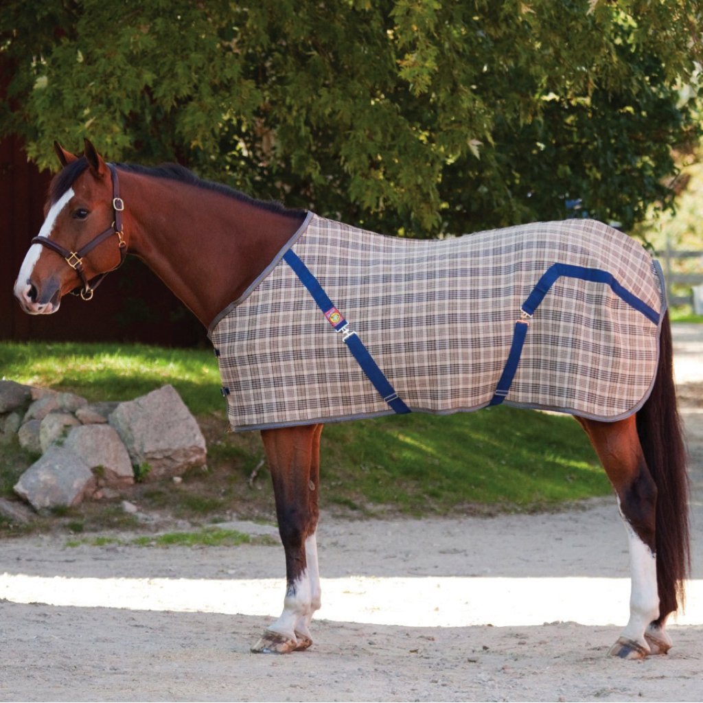 Baker Original Blanket Traditional Print