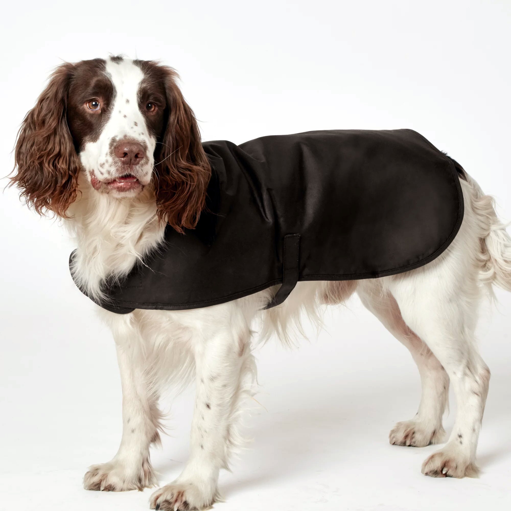 Barbour Waxed Dog Blanket The Horse Connection The Horse