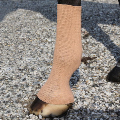 EquiFit GelSox for Horses