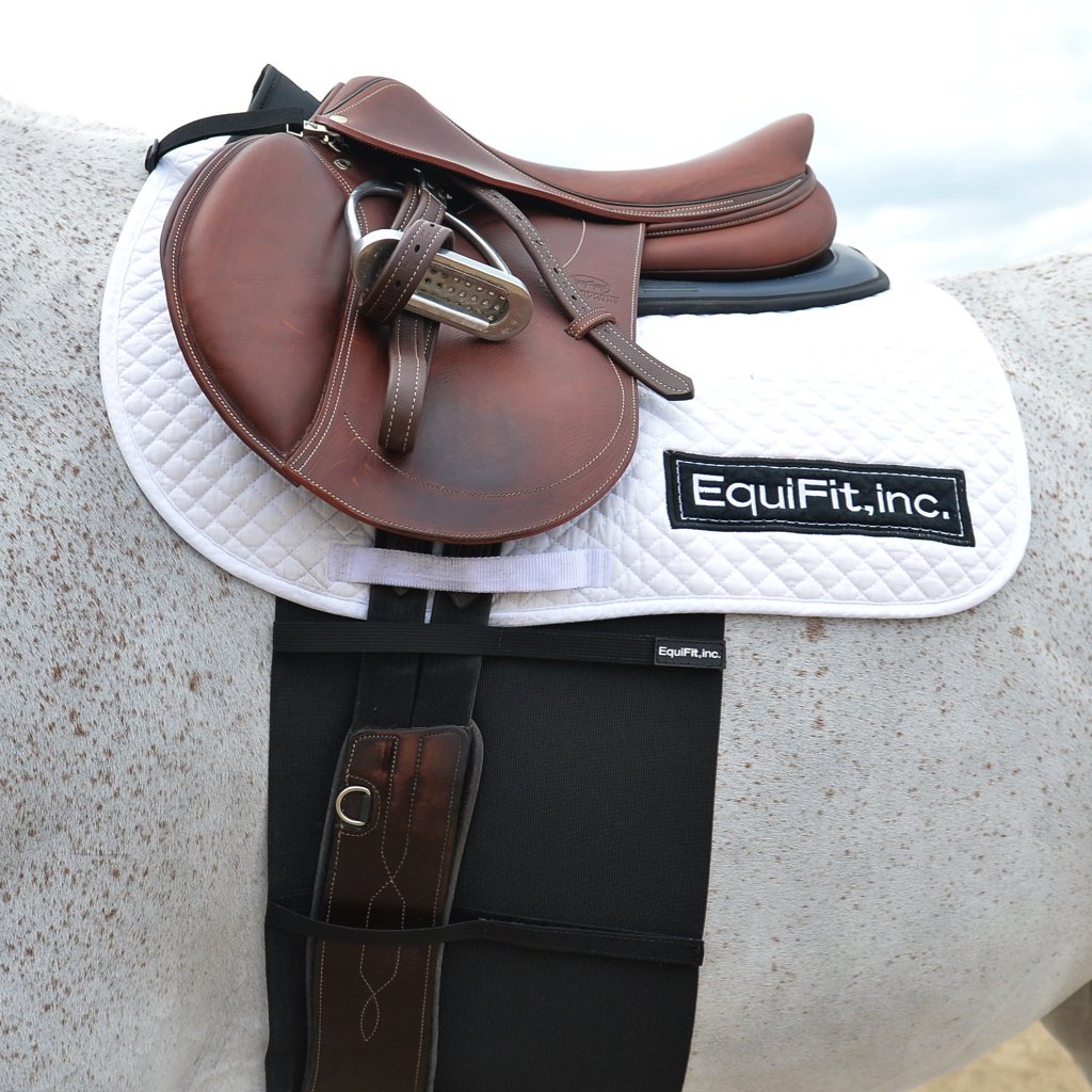 EquiFit BellyBand