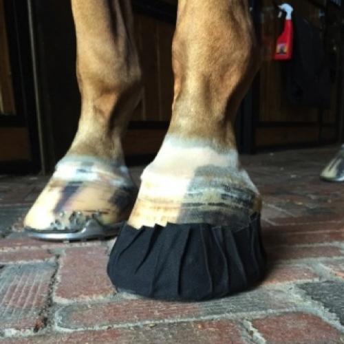EquiFit Pack-N-Stick Hoof Tape