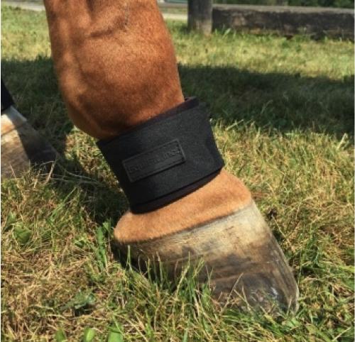EquiFit Pastern Wrap