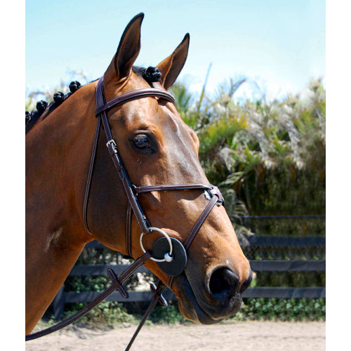 Hadfield's Raised Fancy Stitched Padded Figure 8 Jumper Bridle on Horse