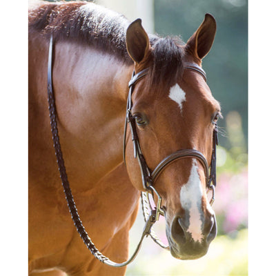 Hadfield's Raised Fancy Stitched Padded Hunter Bridle on Horse