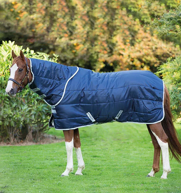 Amigo Insulator Medium Stable Blanket Plus (200g)