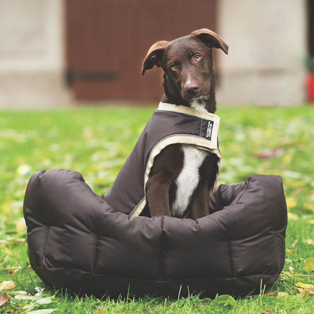 Horseware Rambo Waterproof Dog Blanket Brown with Cream