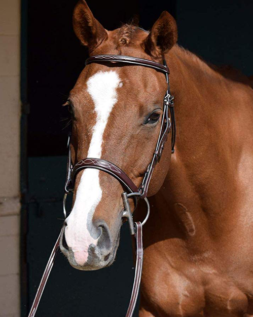 Huntley Equestrian Raised Fancy Stitched Bridle with Reins