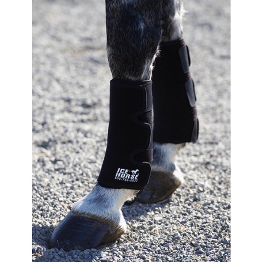 Ice Horse Therapeutic Tendon Wrap Pair
