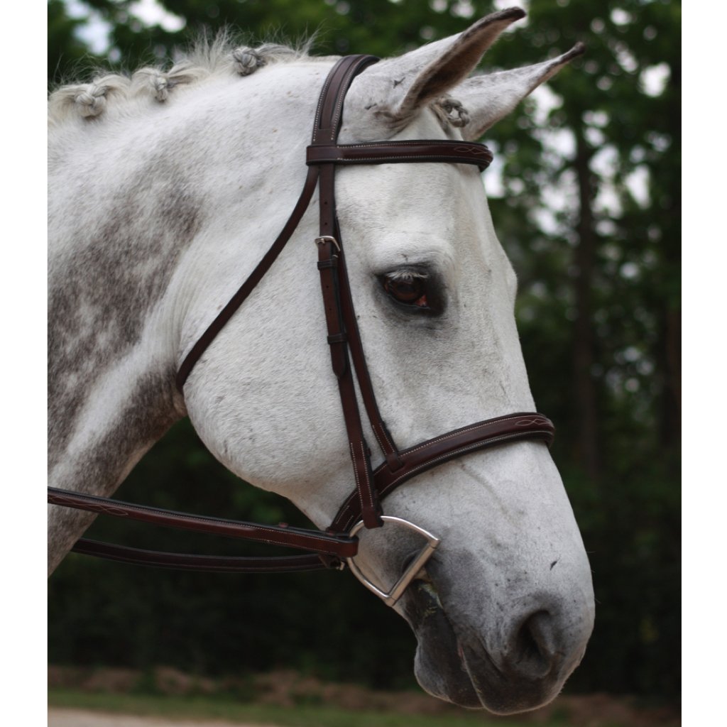 KL Italia Middleburg Raised Fancy Stitched Padded Wide Noseband Bridle