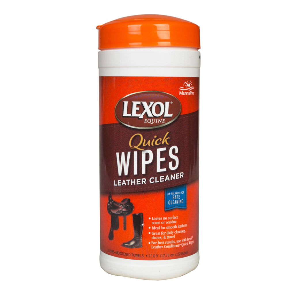 Lexol Leather Cleaner