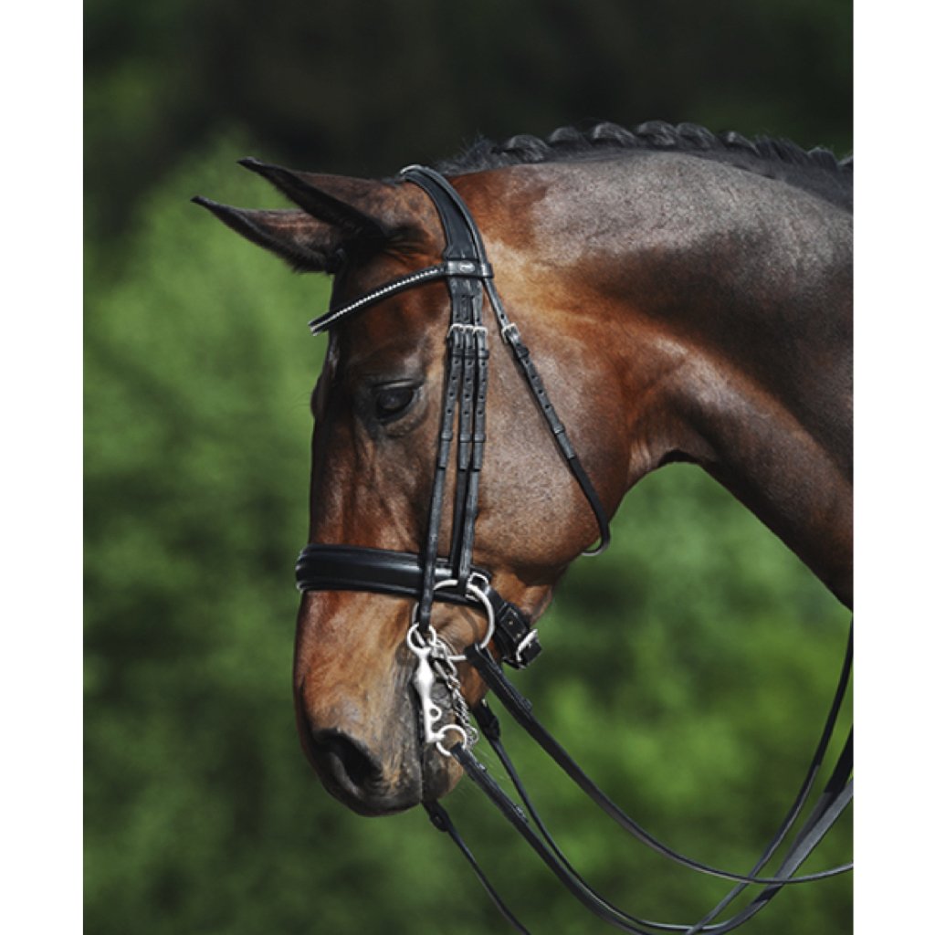 Passier Fortuna Double Bridle  Horse Connection - The Horse Connection In  Bedford Village