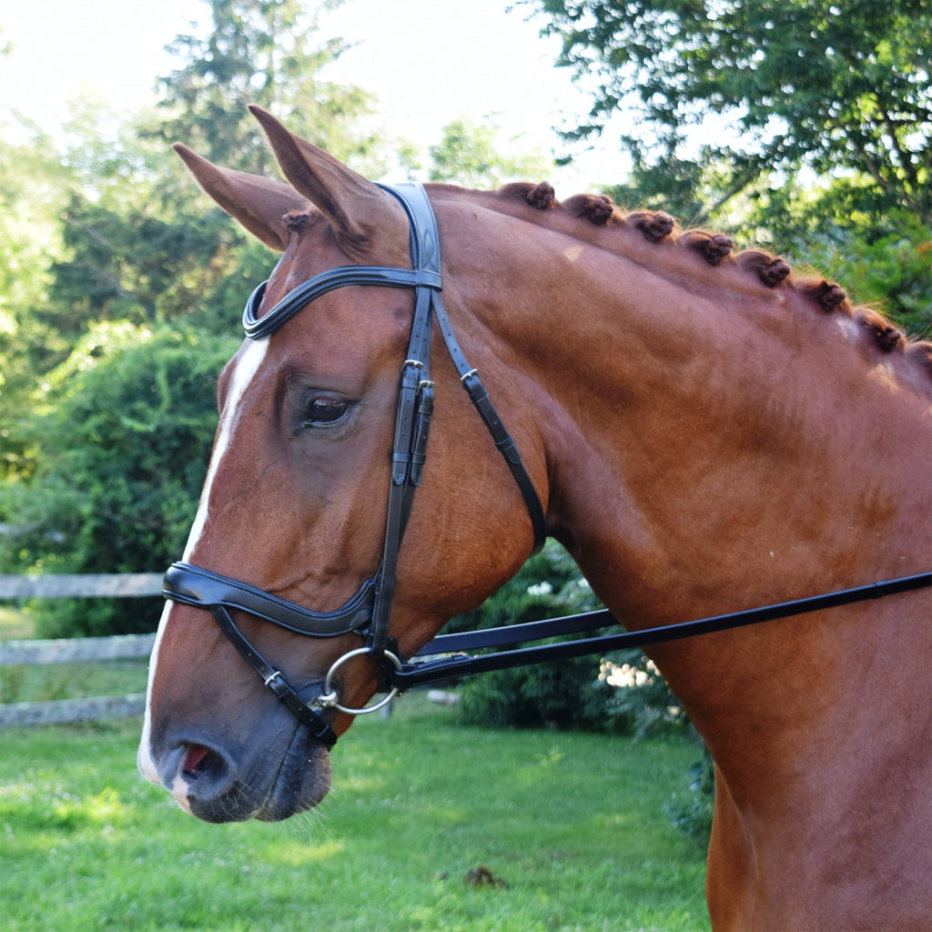 Red Barn Arena Ergonomic Dressage Snaffle Bridle with Crank Black