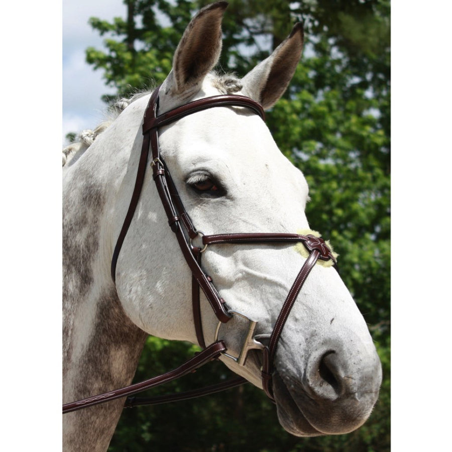 Red Barn Equinox Raised Fancy Stitched Figure 8 Jumper Bridle