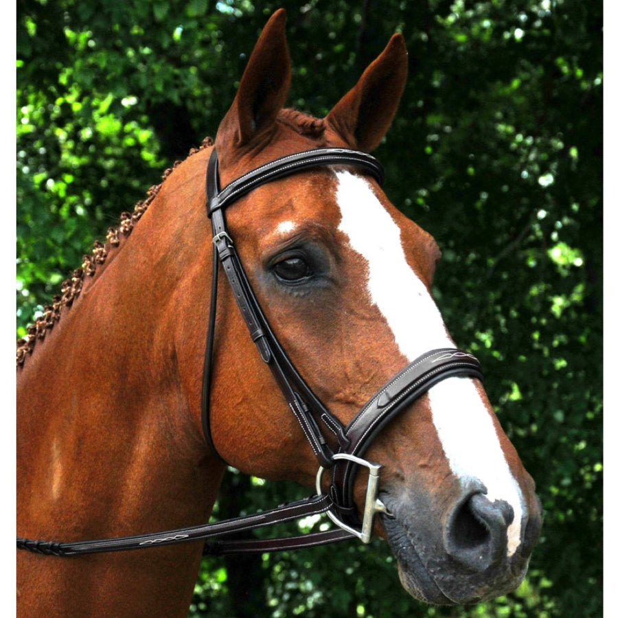 Red Barn Tryon Raised Fancy Stitched Padded Wide Noseband Hunter Bridle