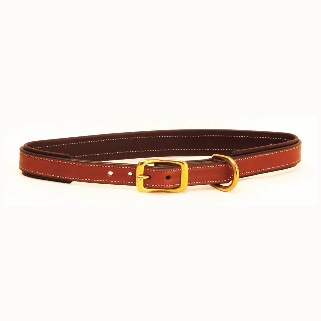 Tory hotsell dog collar