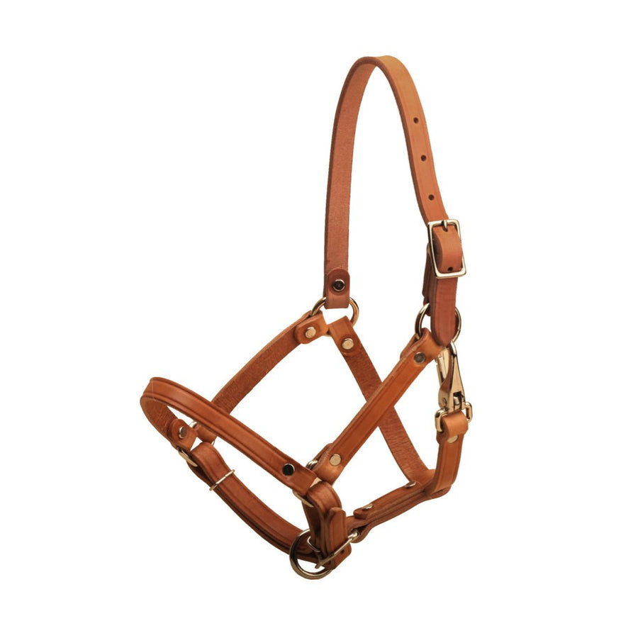 Tory Padded Leather Halter - The Show Trunk II