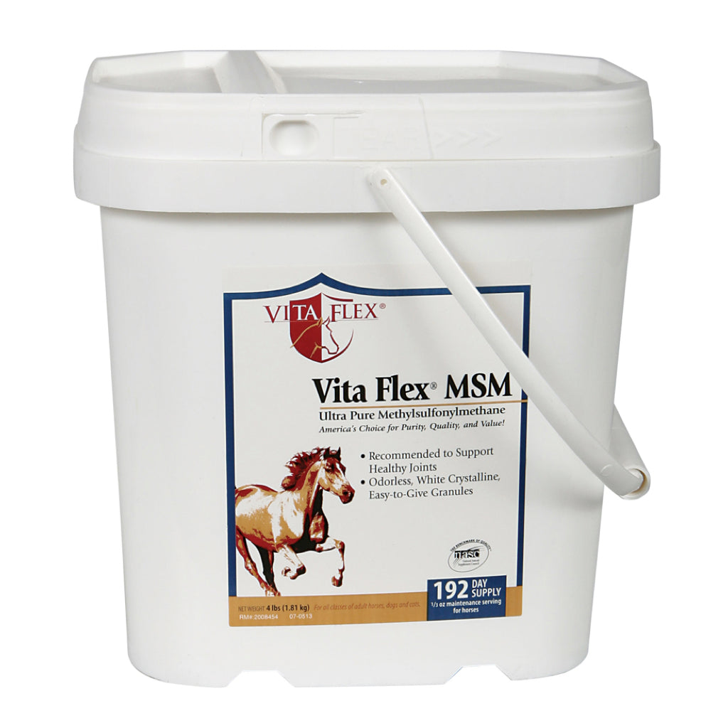 Vita Flex MSM Equine Supplement