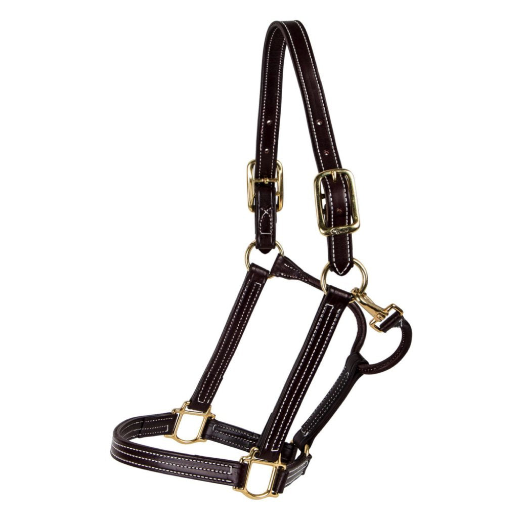 Walsh British Leather Halter Havana